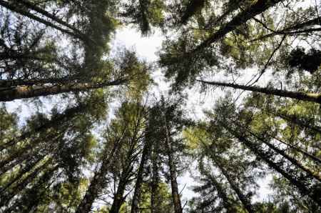 Share your proposal story! - 1