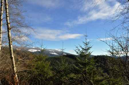 Share your proposal story! - 2