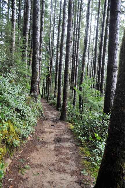 Share your proposal story! - 3