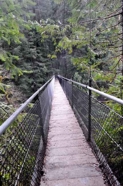 Share your proposal story! - 5