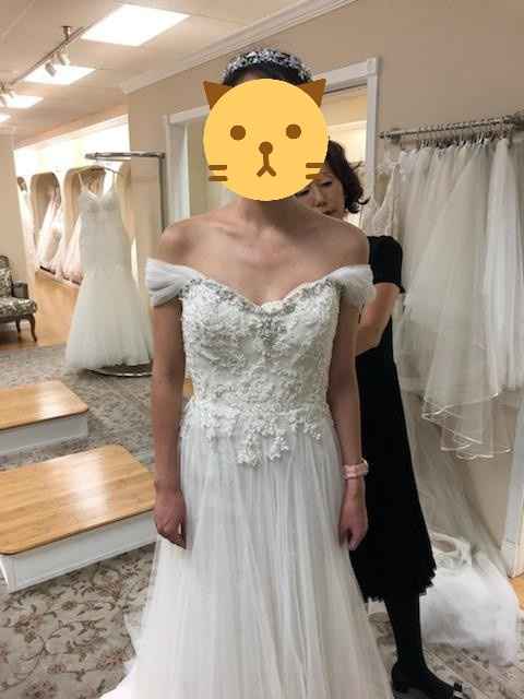 Urgent. Need wedding dress in 6 weeks - 1