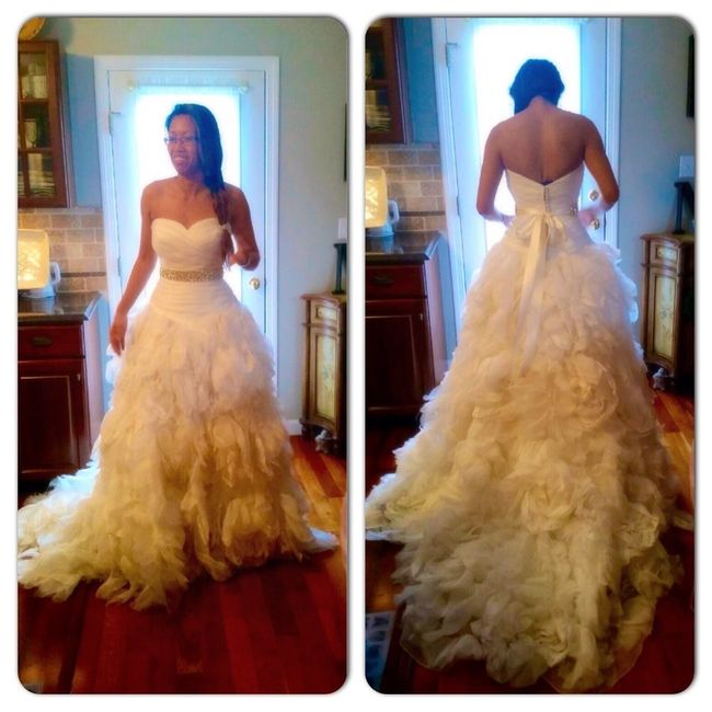 My Dress Came In!!