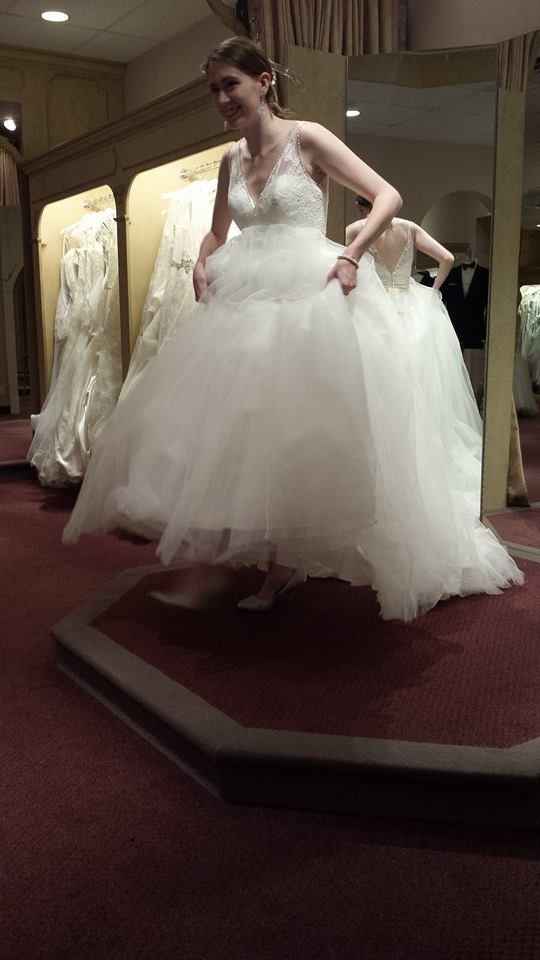 The Dress!!!!