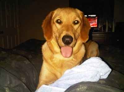 Lets see those pets!!! (NWR)