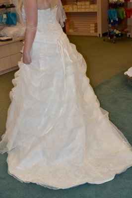 I got my dress!!! (Pics)