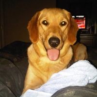 Lets see those pets!!! (NWR)