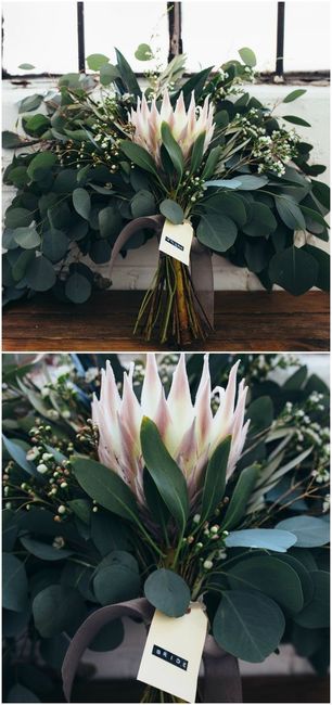King Protea