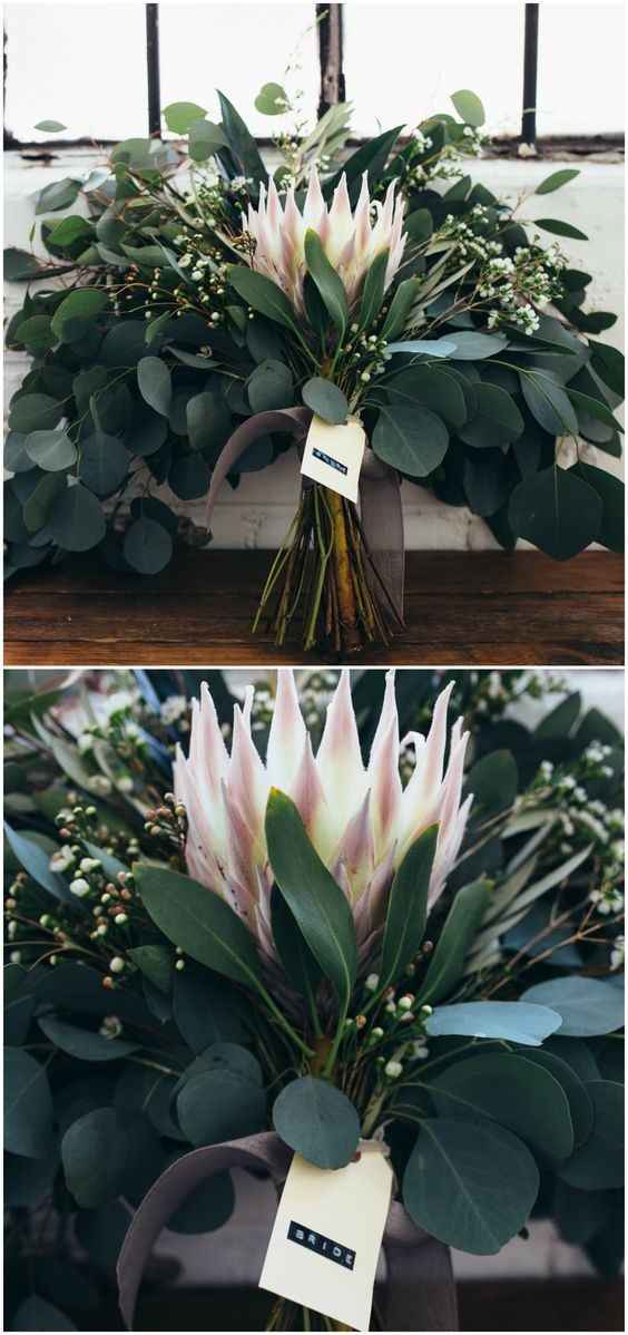 King Protea