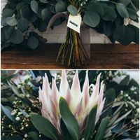 King Protea