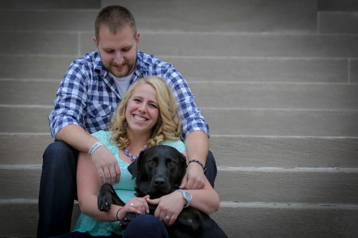 Pets in the STDs