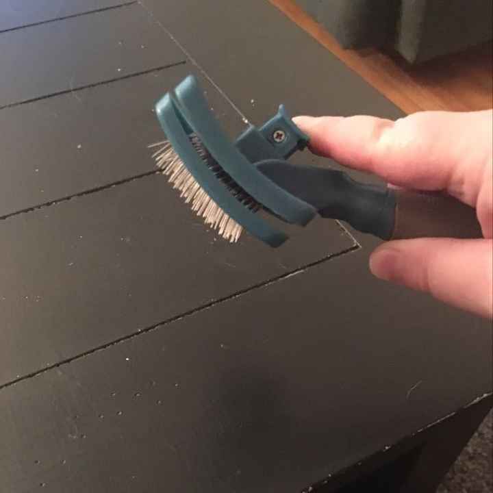 NWR: Dog is shedding more than usual