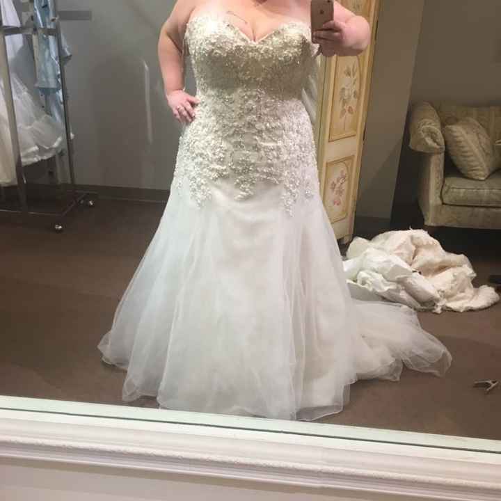 Plus Size Lace or Tulle Wedding Dresses -- show me yours?