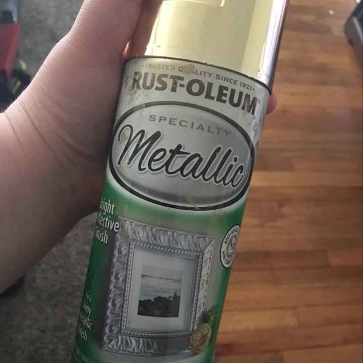 Metallic Paint *PAGING DEER! @firstoneat56*