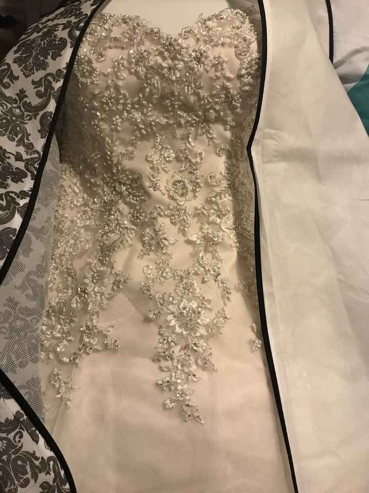 Dress is in! Paranoid it doesn't fit