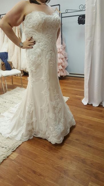 Wedding Dress: To Sleeve or Not To Sleeve