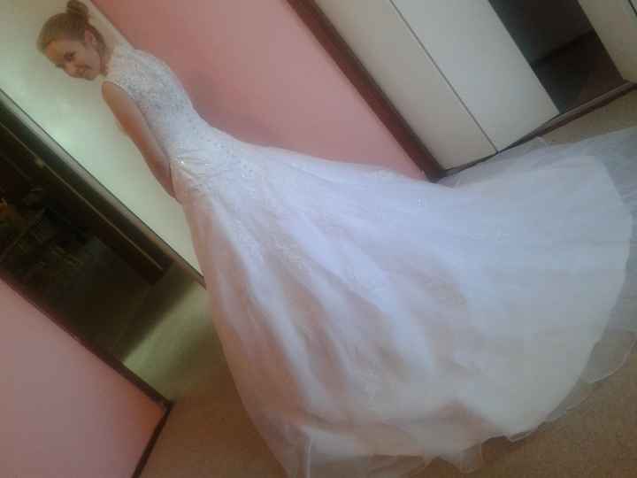 My wedding dress arrived! (Pics!)