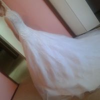 My wedding dress arrived! (Pics!)