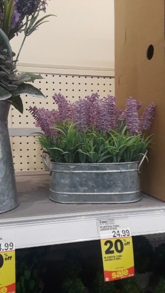 possible centerpiece
