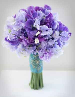 sweat peas