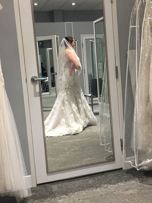 Having second thoughts on my veil... 2