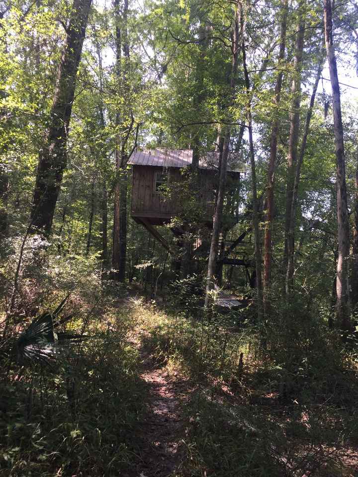 proposal Stories! what's yours? - 1