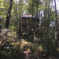 proposal Stories! what's yours? - 1