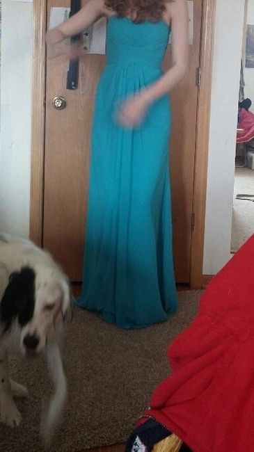 Wedding is coming together! With pics!
