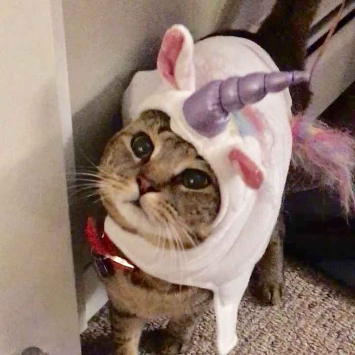 NWR: got fired today and need cheering up!