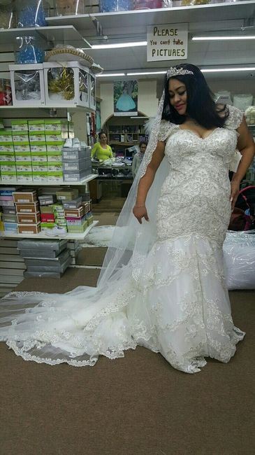 I said Yes to the Dress