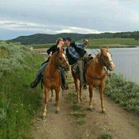 The "official" proposal