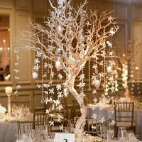 Centerpieces-Manzanita Trees