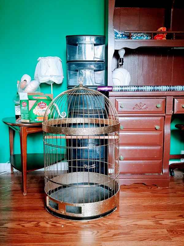 parrot cage. 