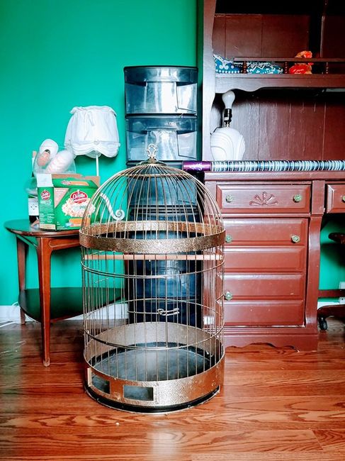 parrot cage. 