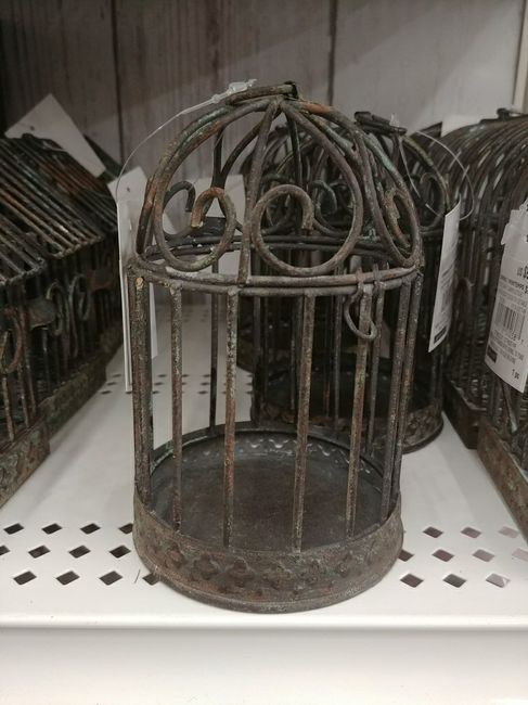  Looking for birdcages - 1