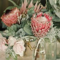 is anyone else obsessed with flowers?