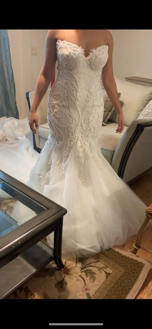 Wedding dress finally came - 2