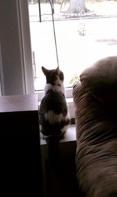 NWR - Furbabies :)