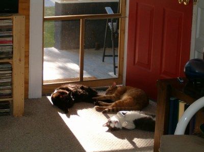 NWR - Furbabies :)