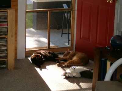 NWR - Furbabies :)