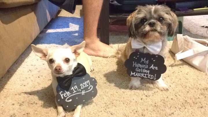 Everyone - do a quick intro!