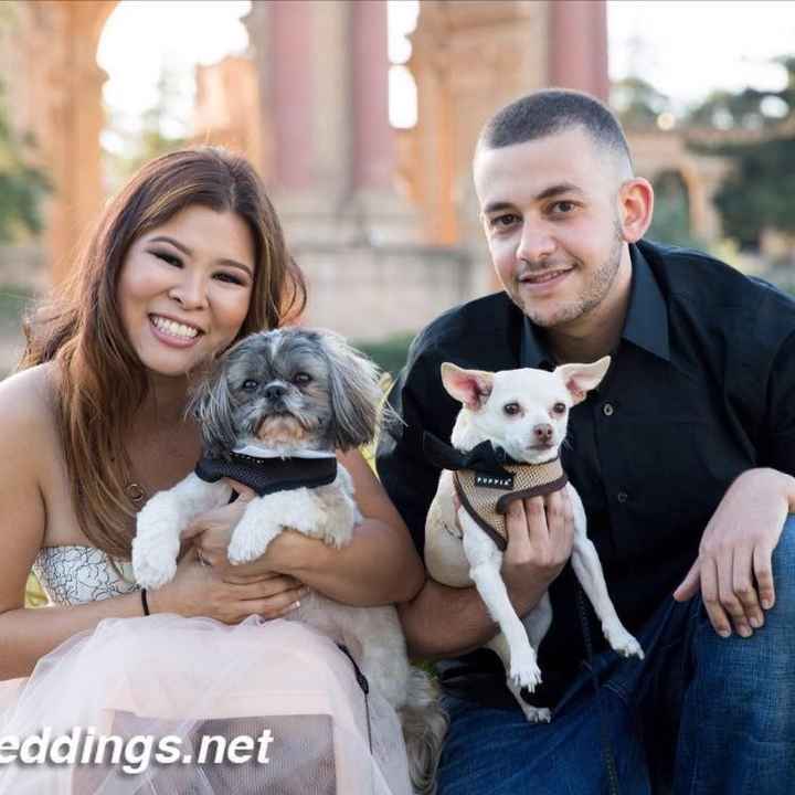 Fur babies with engagement/wedding photos
