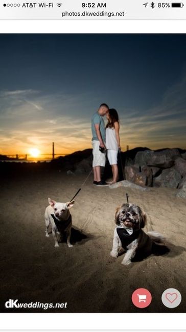 Engagement Photos