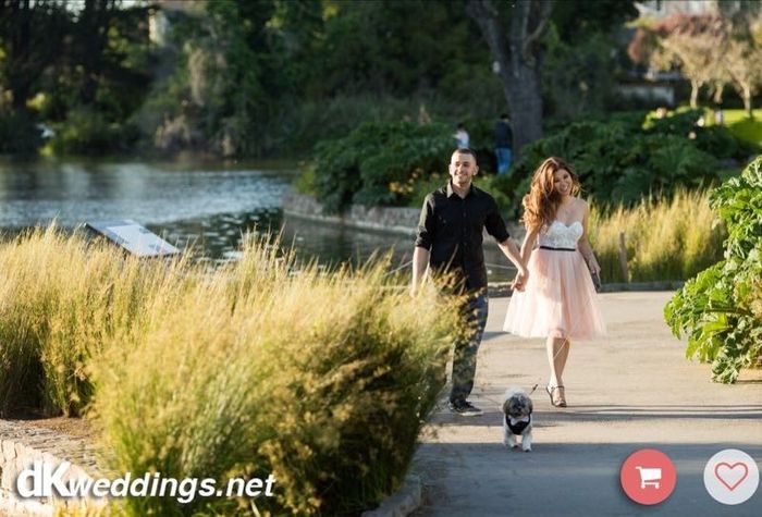 Engagement Photos