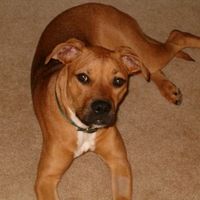 NWR - Furbabies :)