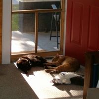 NWR - Furbabies :)