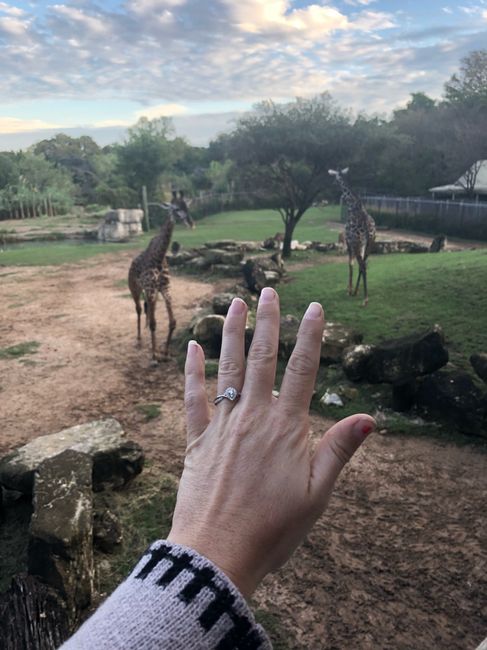 How long did you wait to announce your engagement? 2