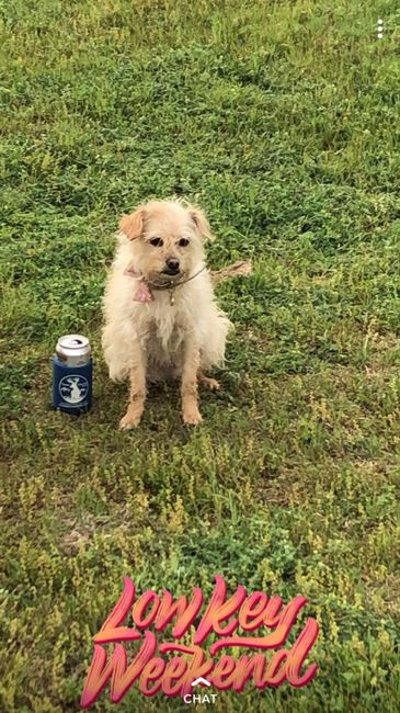 When not wedding planning - 2