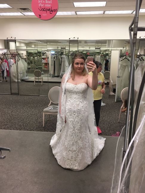 Davids Bridal Dresses!