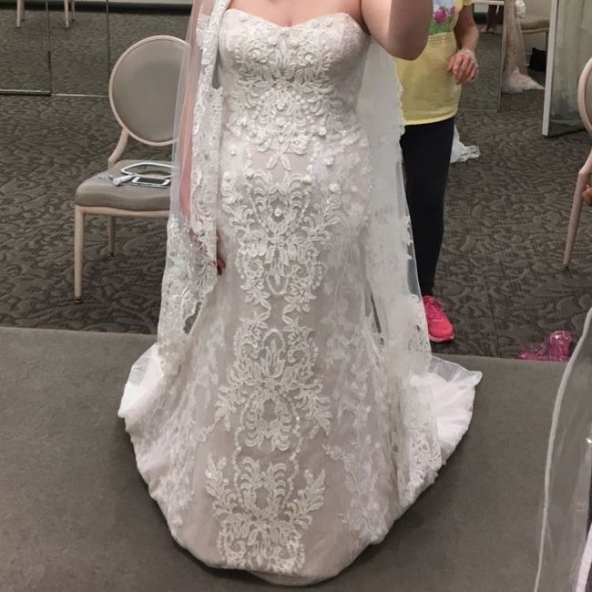 THE DRESS
