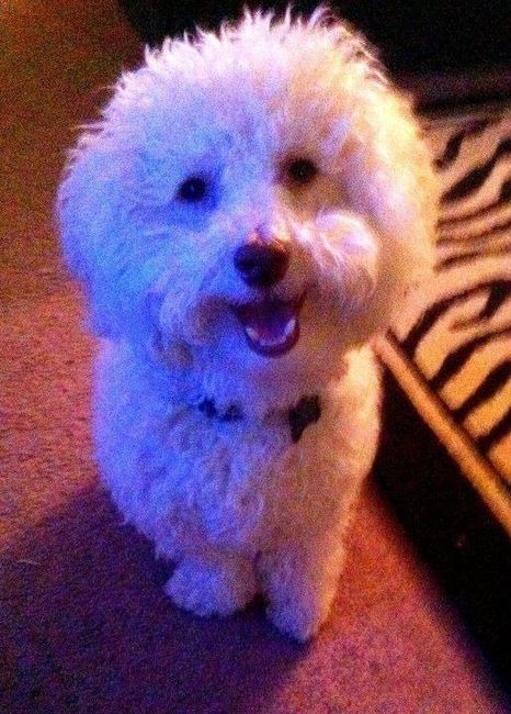 NWR: Fur Babies!